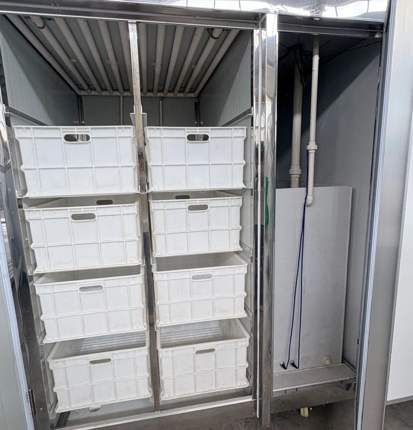 Advanced Bean Sprout Manufacturer Direct Sales Daily Output300kg Bean Sprout Grower