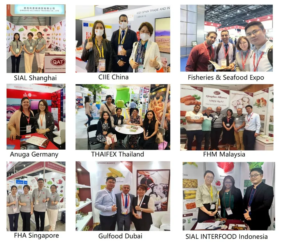 Official Certificates