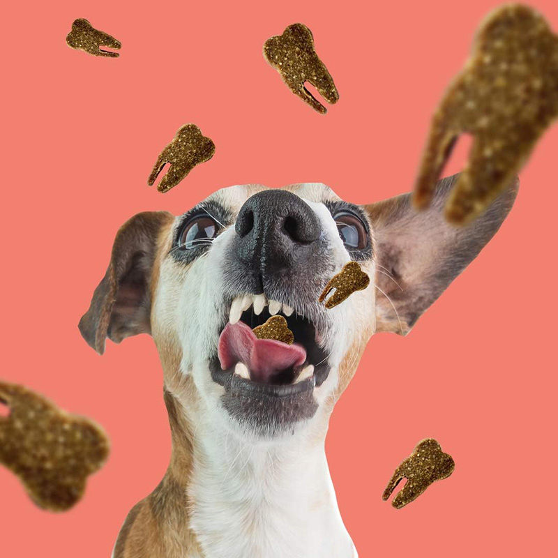 Duck &amp; Rosemary Flavor 4.2oz (120g) Dog Treats