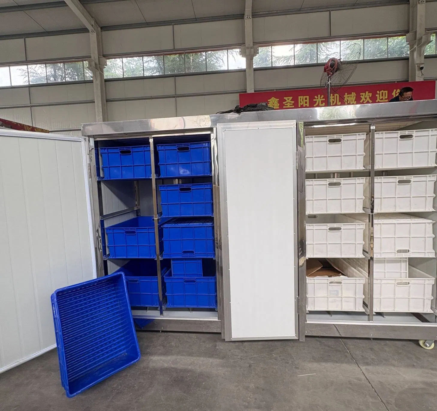 Versatile Bean Sprout Grower for Fresh and Nutritious Sprouts