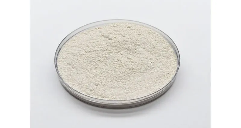 Poultry Feed Additives