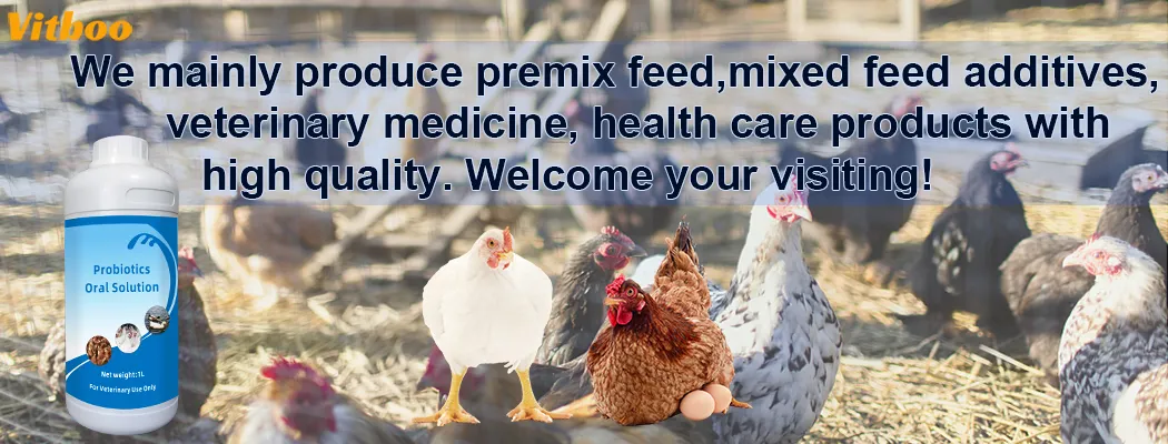 Probiotics Oral Solution