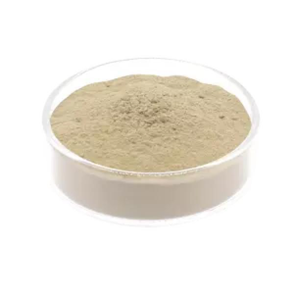 Wholesale Fish Animal Feed Additive Probiotic Licheniformis Bacillus Subtilis for Shrimp