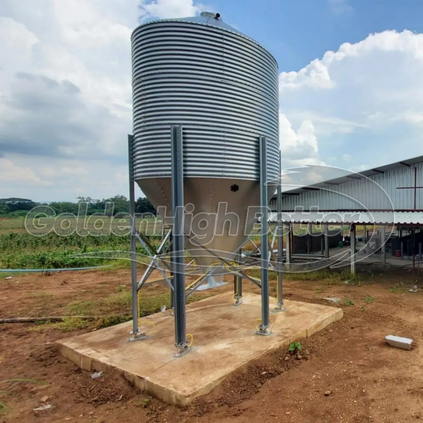 High Quality Galvanized Poultry Silo Steel Feed Storage Bin for Chicken Livestock Pig Farm for Wheat Grain Feed Storage Global Hot Sell