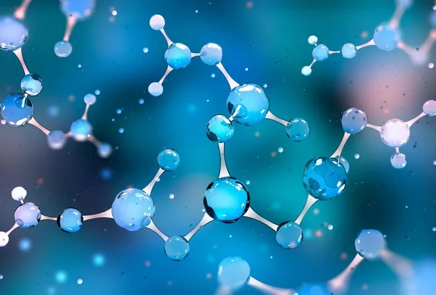 Soy Protein Feature 3