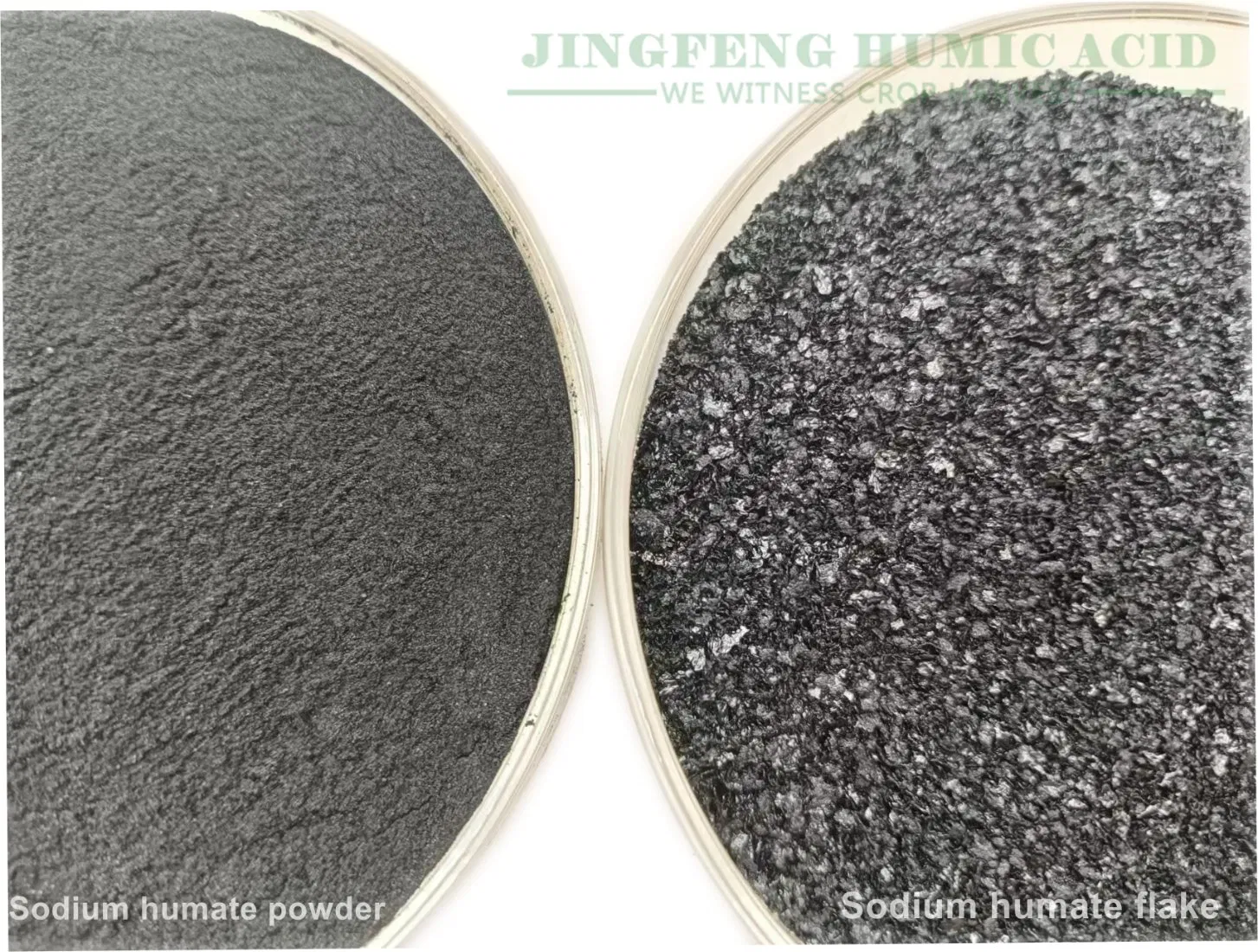 Sodium Humate in Aquaculture Briquette Coal Binder and Feed Additive