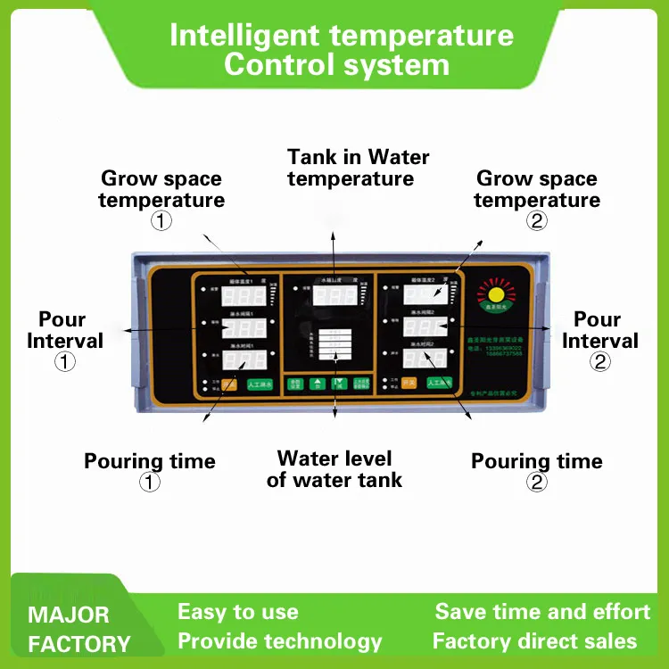 Multifunctional Growth