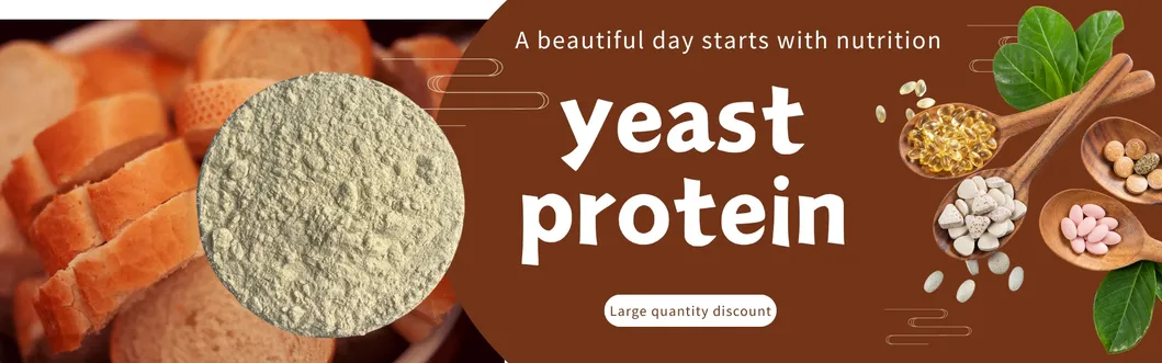 Yeast Hydrolysate Powder