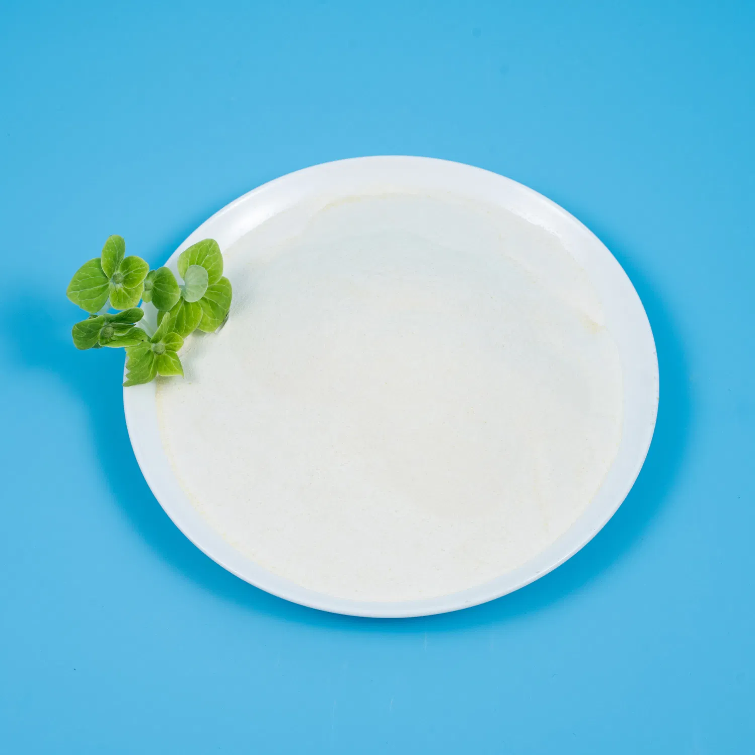 Non-GMO High Potency Probiotic Solution for H. Pylori