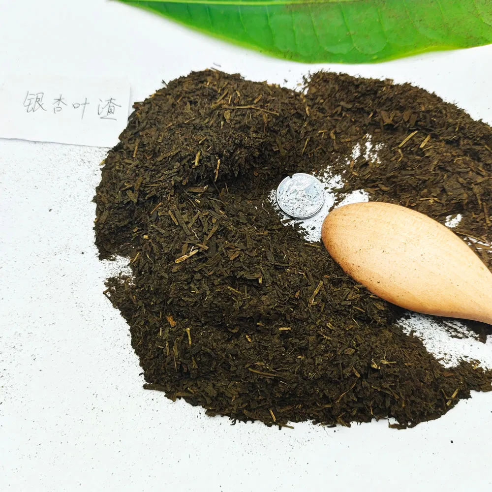 Ginkgo leaf residue 3