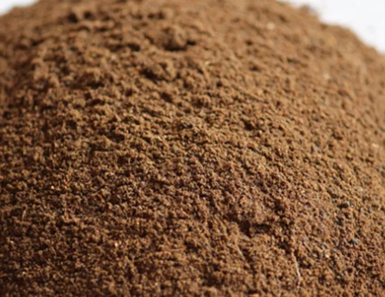 Squid Liver Product Info 2