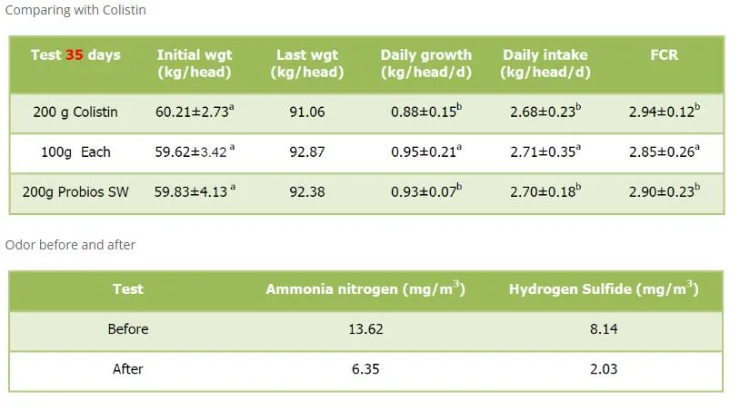Scientific Data Performance