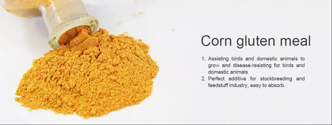 Corn Gluten Meal Production