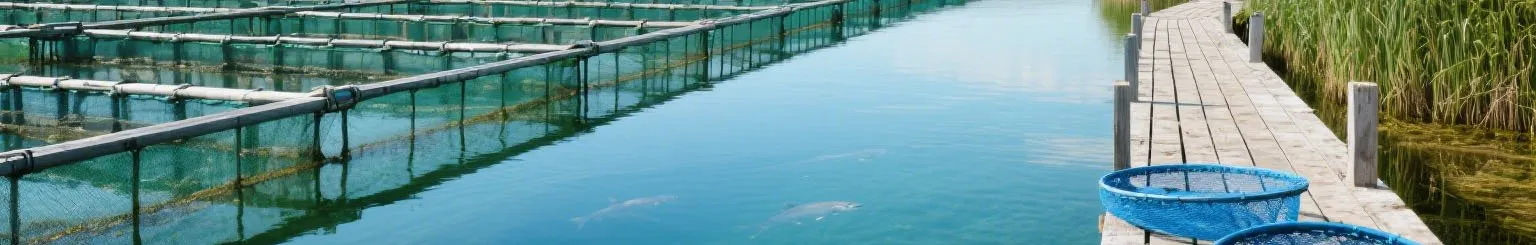 High-Protein Animal Feed