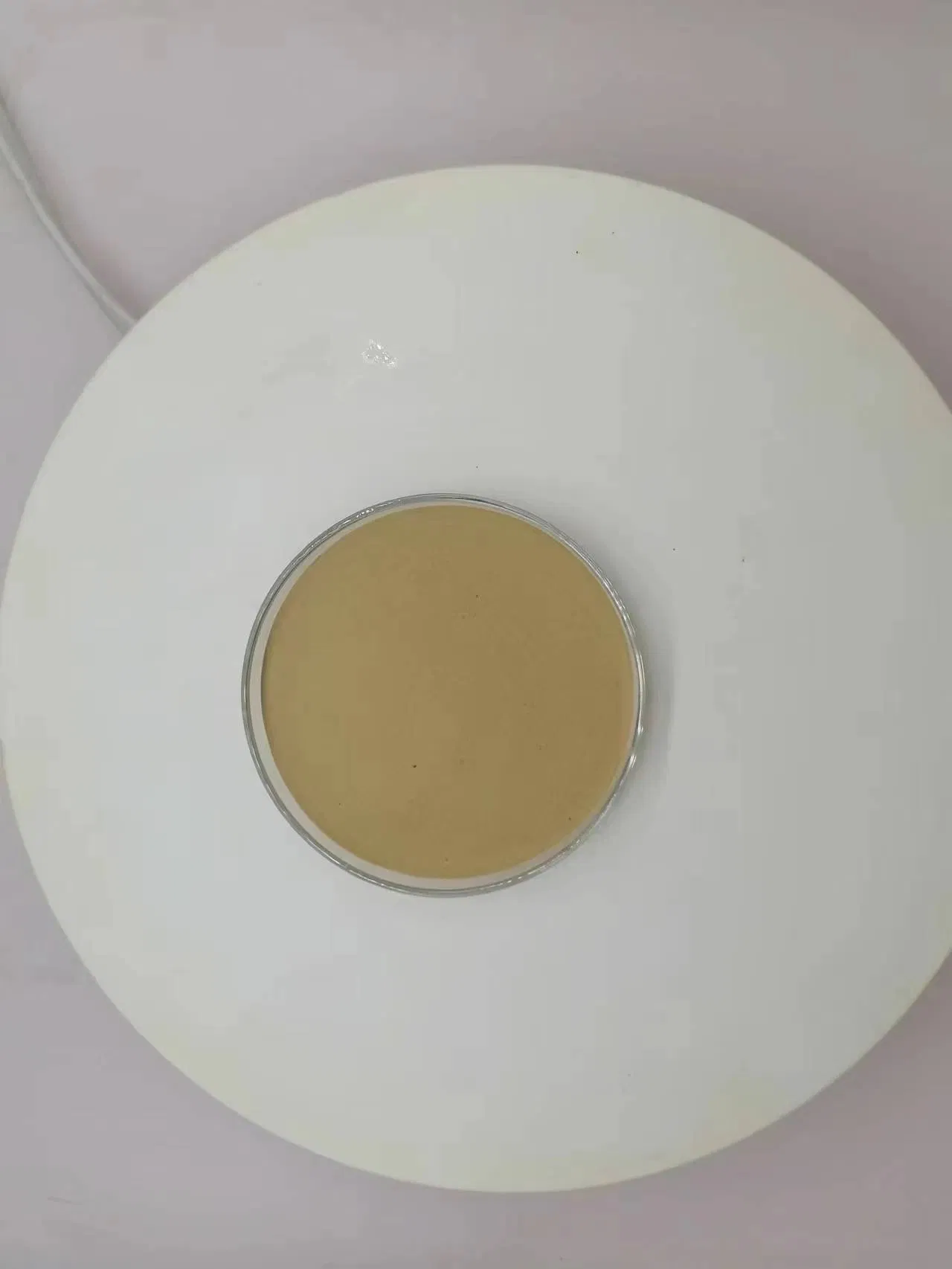 Amino Acid Plant Animal Source Soybean Meal Aquaculture and Feed Additive Industry