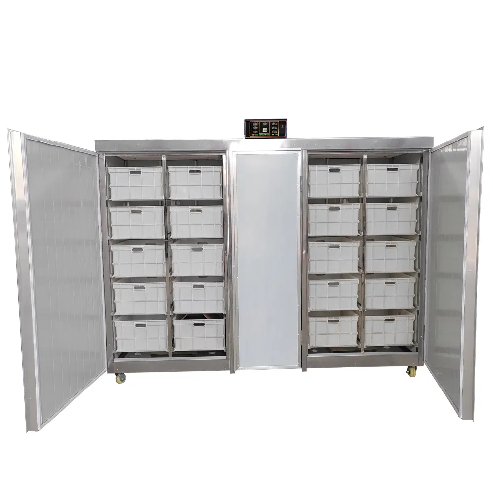 Professional Bean Sprout Grower with Automation Function