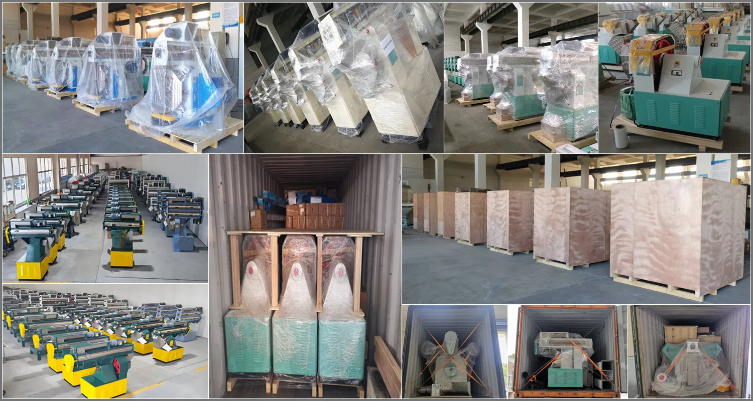 Feed Pellet Machine Detail 2