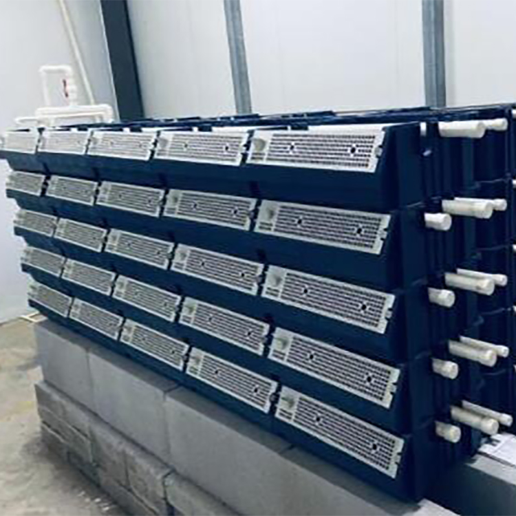 Soft Shell Crabs House Crab Farming Ras System Crab Bait Jars