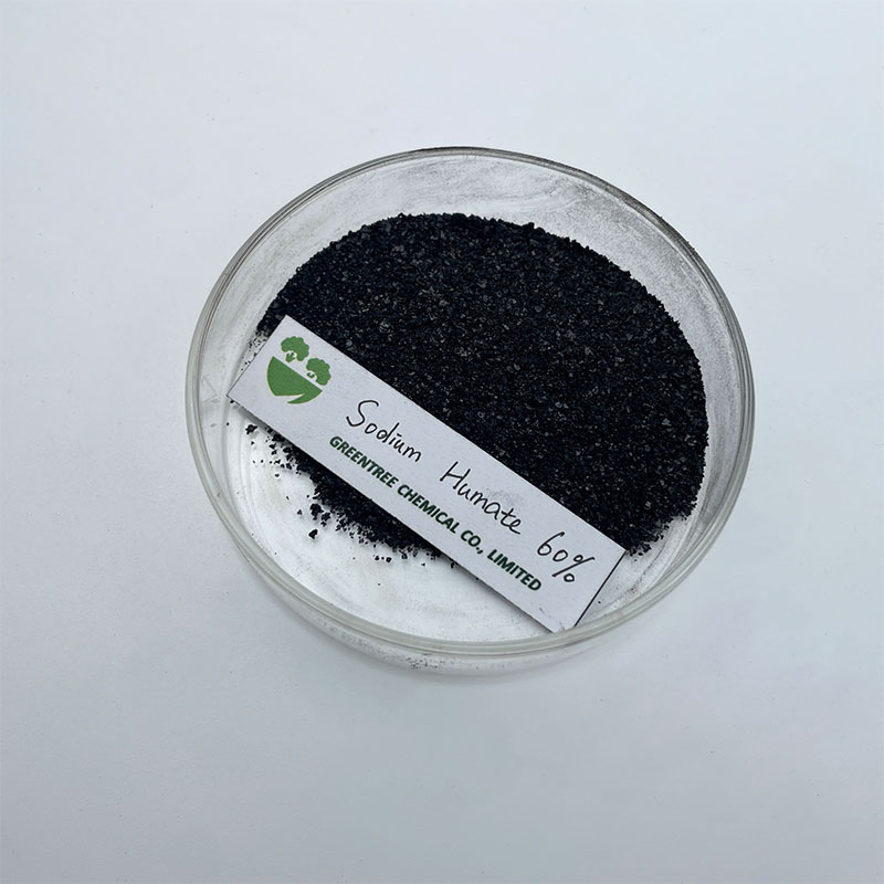 Agriculture Fertilizer Factory High Soluble Feed Additive Humic Acid 60% Sodium Humate China Manufacturers