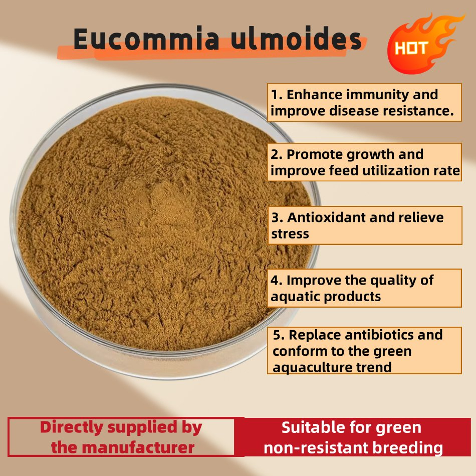 Premium Eucommia Ulmoides for Fish &amp; Shrimp - Stress Relief &amp; Disease Resistance OEM/ODM for Eco-Friendly Aquaculture