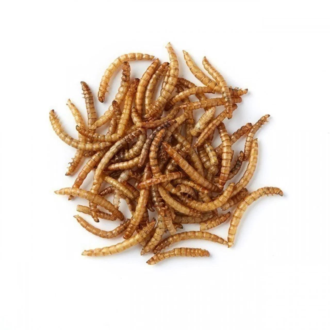 Top Quality Fish Bird Snack Food Natural Dried Mealworms Animal Feed