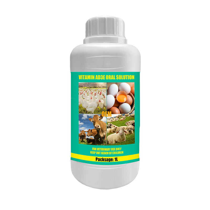Probiotics Oral Solution Improve Intestinal Environment and Prevent Diseases
