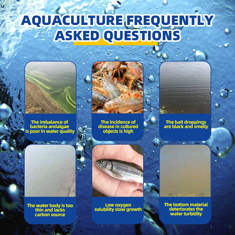 Aquavita Premix: Comprehensive Vitamin &amp; Mineral Feed Additive for Aquaculture (Fish &amp; Shrimp)