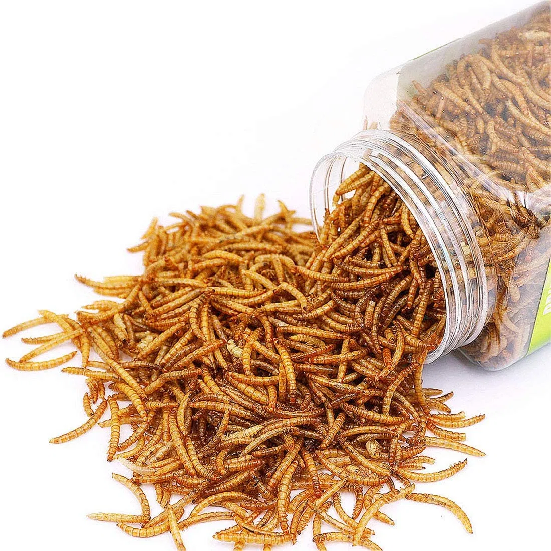 Fish Bird Snack Food Natural Dried Mealworms Animal Feed