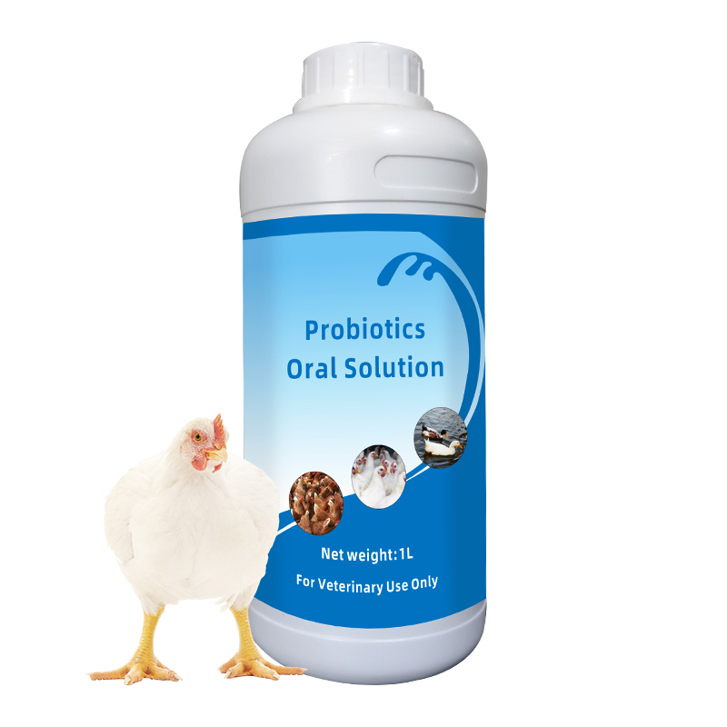Probiotics Oral Solution Liquid Poultry Medicine Probiotics for Livestock