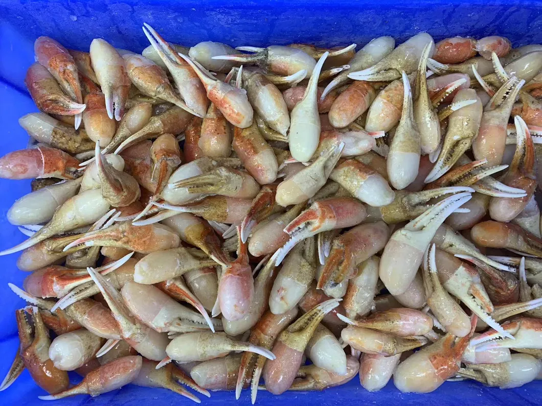IQF Canadian Snow Crab Claw