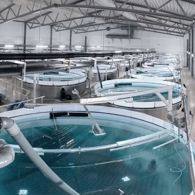 Soy Protein Concentrate Feed Grade - Bulk Protein Powder for Enhanced Livestock &amp; Aquaculture Shrimp Pig Feed Poultry Feed Additive