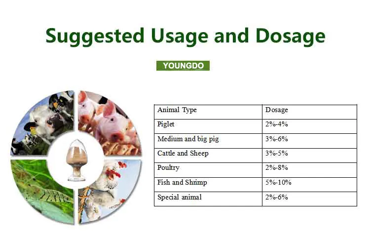 Product Feature Image