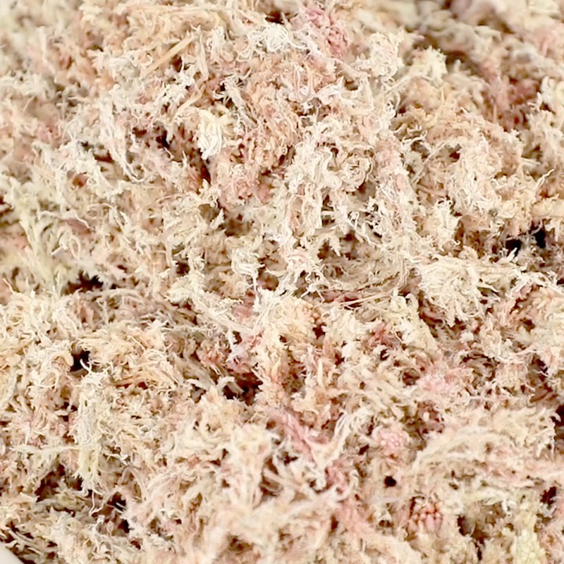Premium Grade 6A Sphagnum Moss for Professional Growers, Bulk Supply