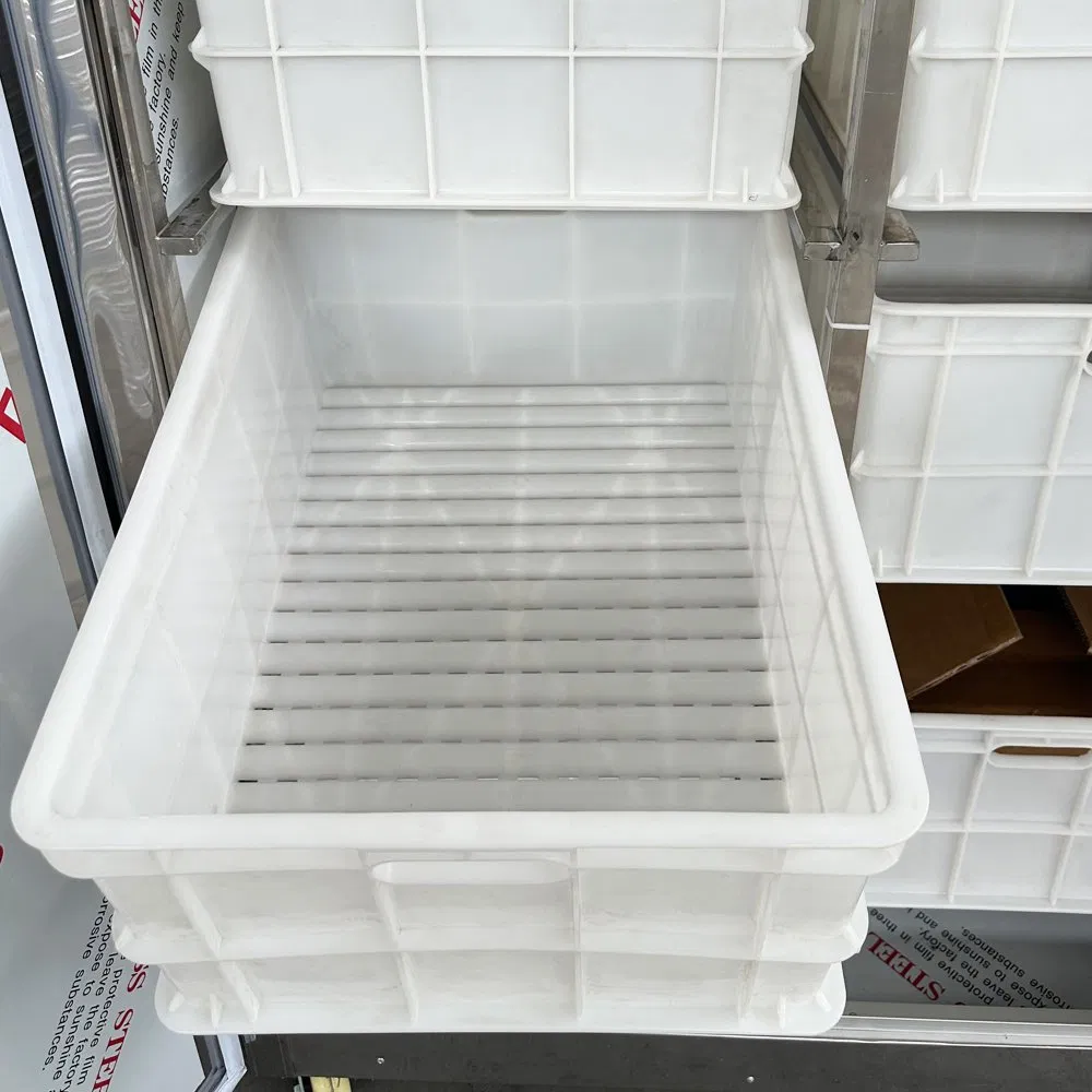 Commercial Fully Automatic Bean Sprout Grower Daily Output30kg