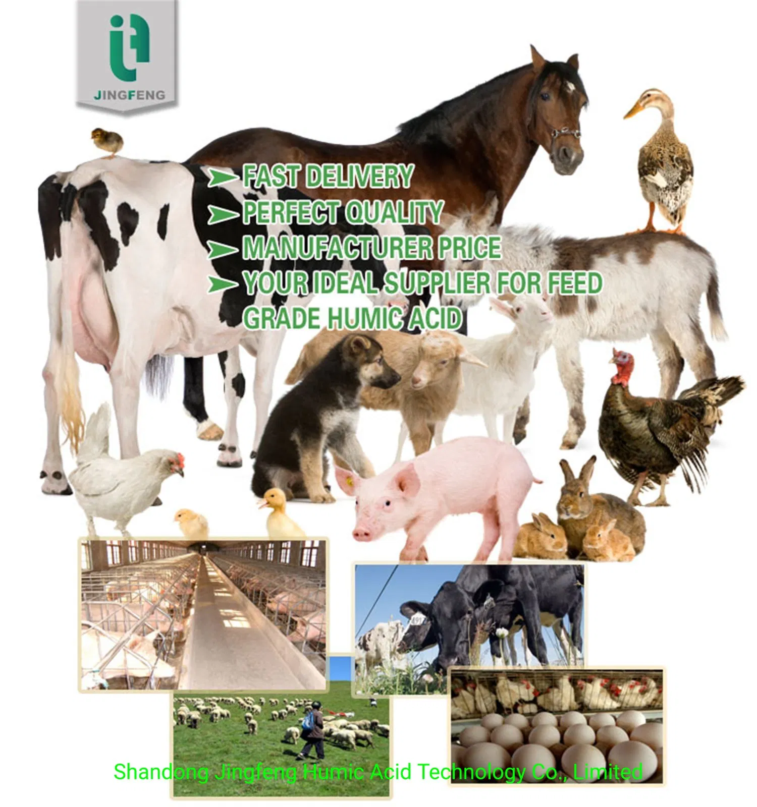 Super Sodium Fulvate Fulvic Acid Shiny Flake Sodium Humate 40% Higher Viscosity