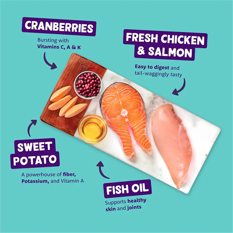 Chicken & Salmon Wet Food Dog Treats 2