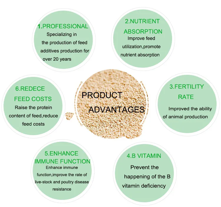 Product Feature Illustration