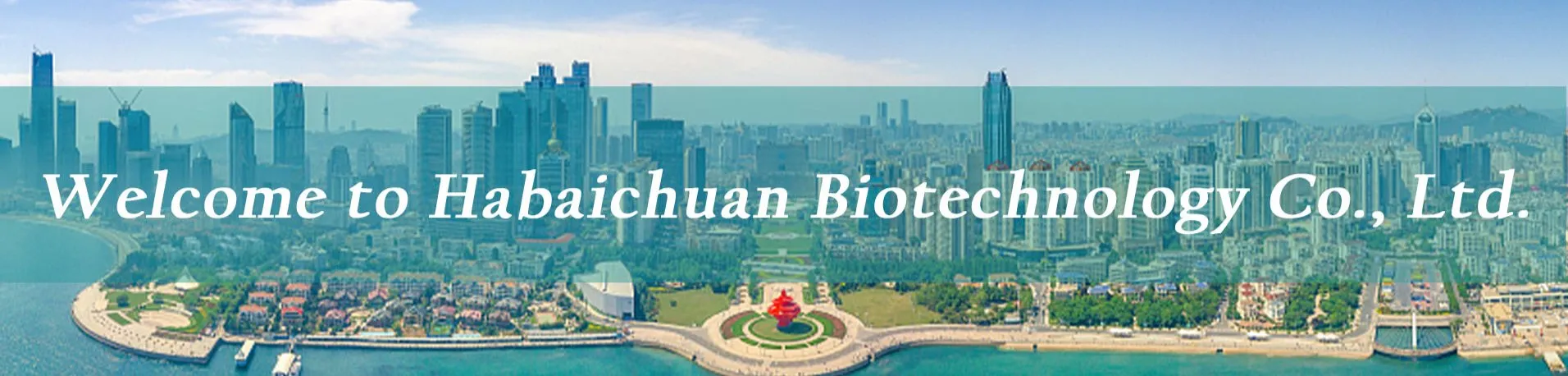 Lysolecithin Powder Overview