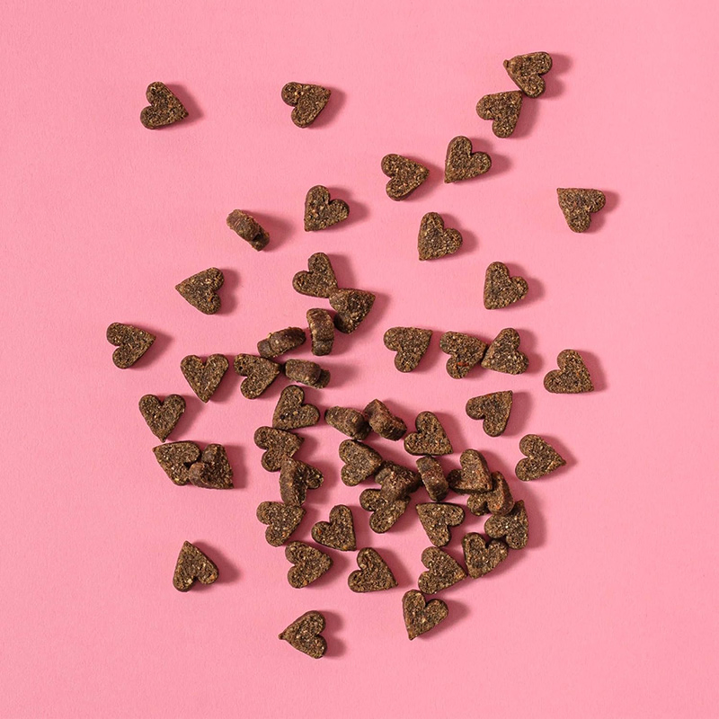 Smokin' BBQ Burger Flavor 3.1oz (90g) Jerky Dog Treats