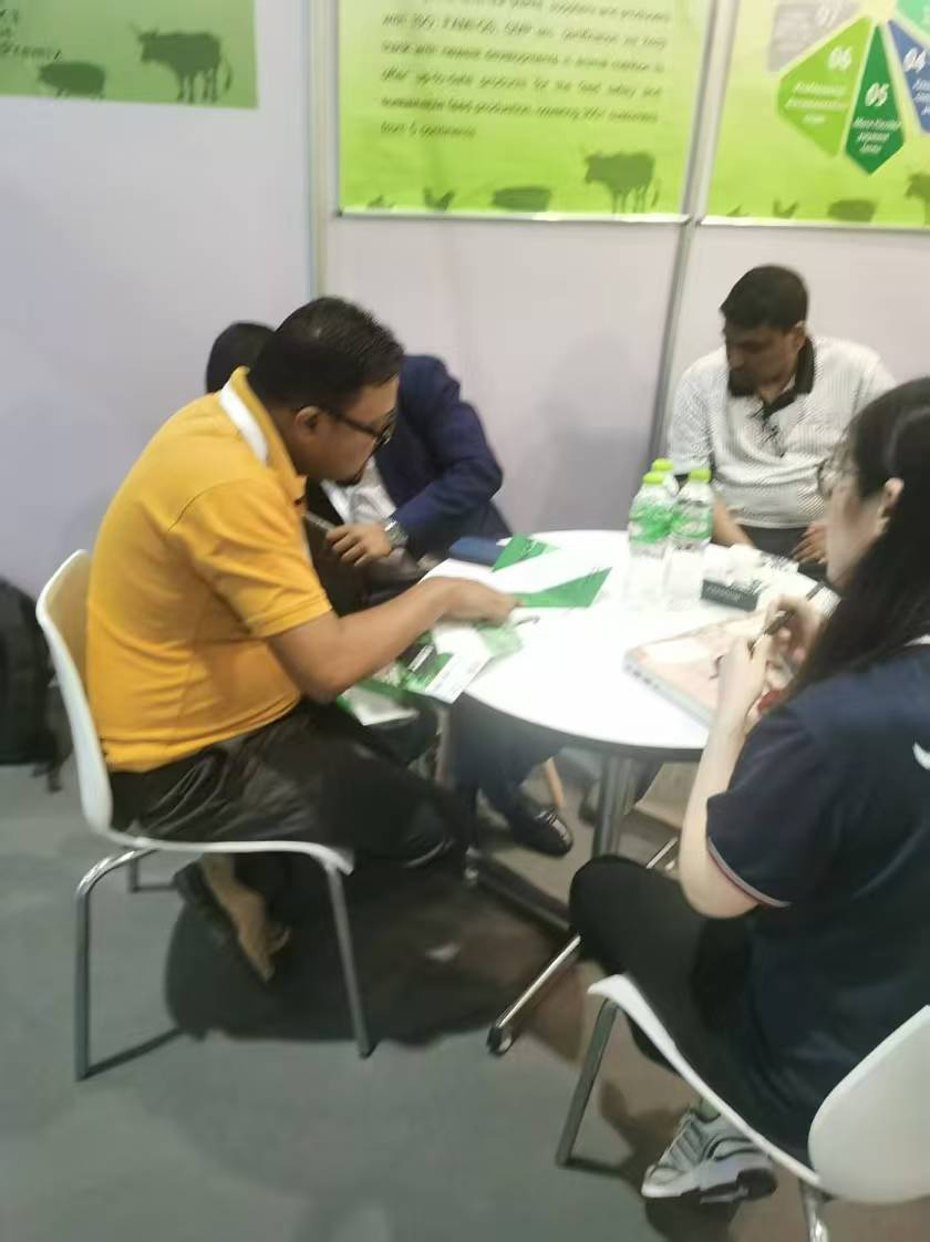 Factory Supply GMP Certified Feed Additives Betaine HCl 98% for Aquaculture