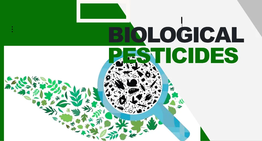 Bacillus Licheniformis Probiotic