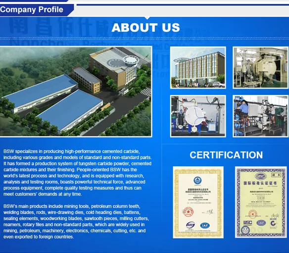 Tungsten Carbide Pellets 1