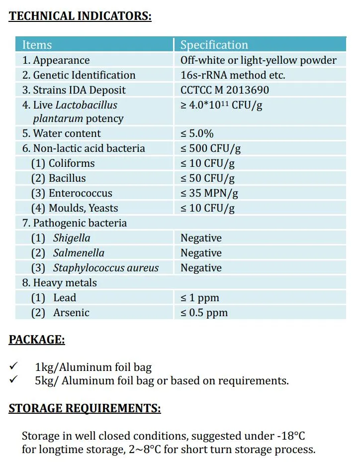 High Potency Probiotic