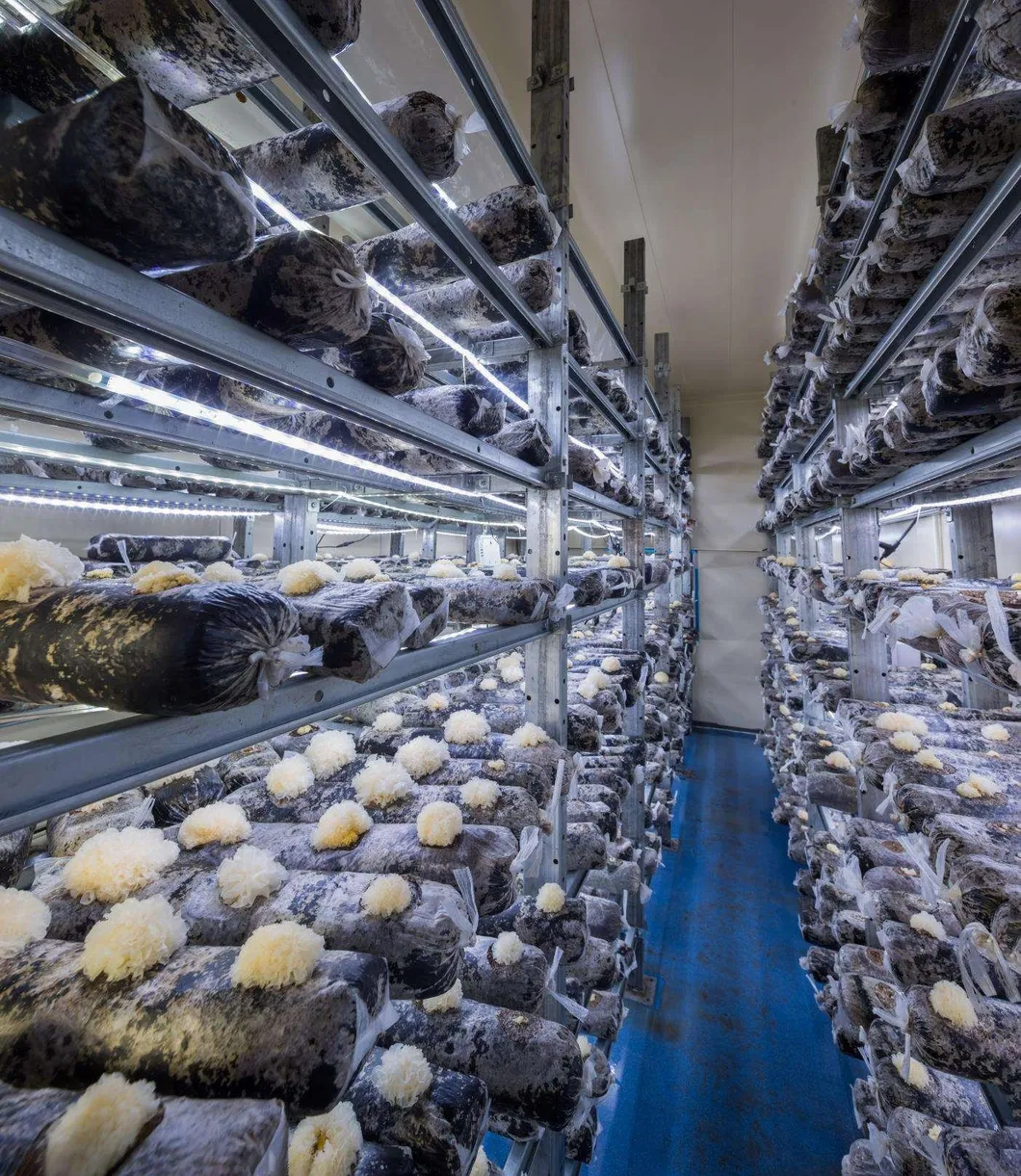 Mobile Mushroom Farm Detail