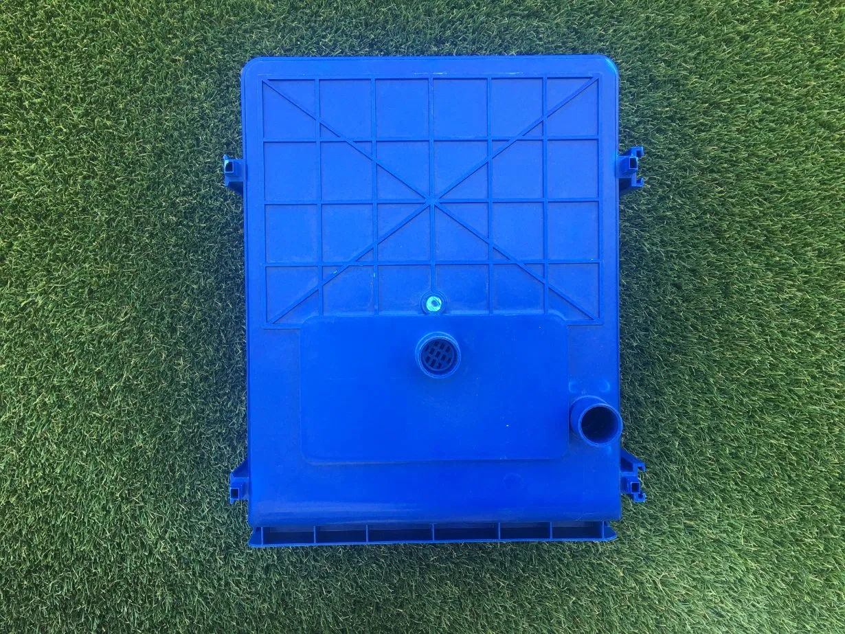 Innovative Urban Mud Crab Farming Nursery with Ras System