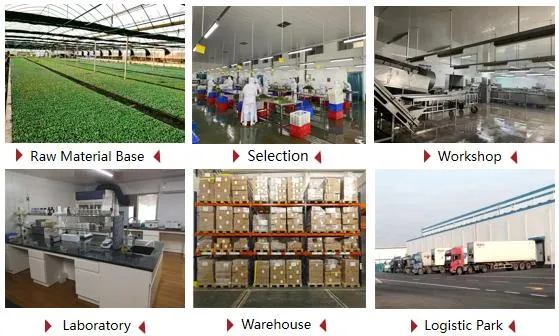 Certificates Display