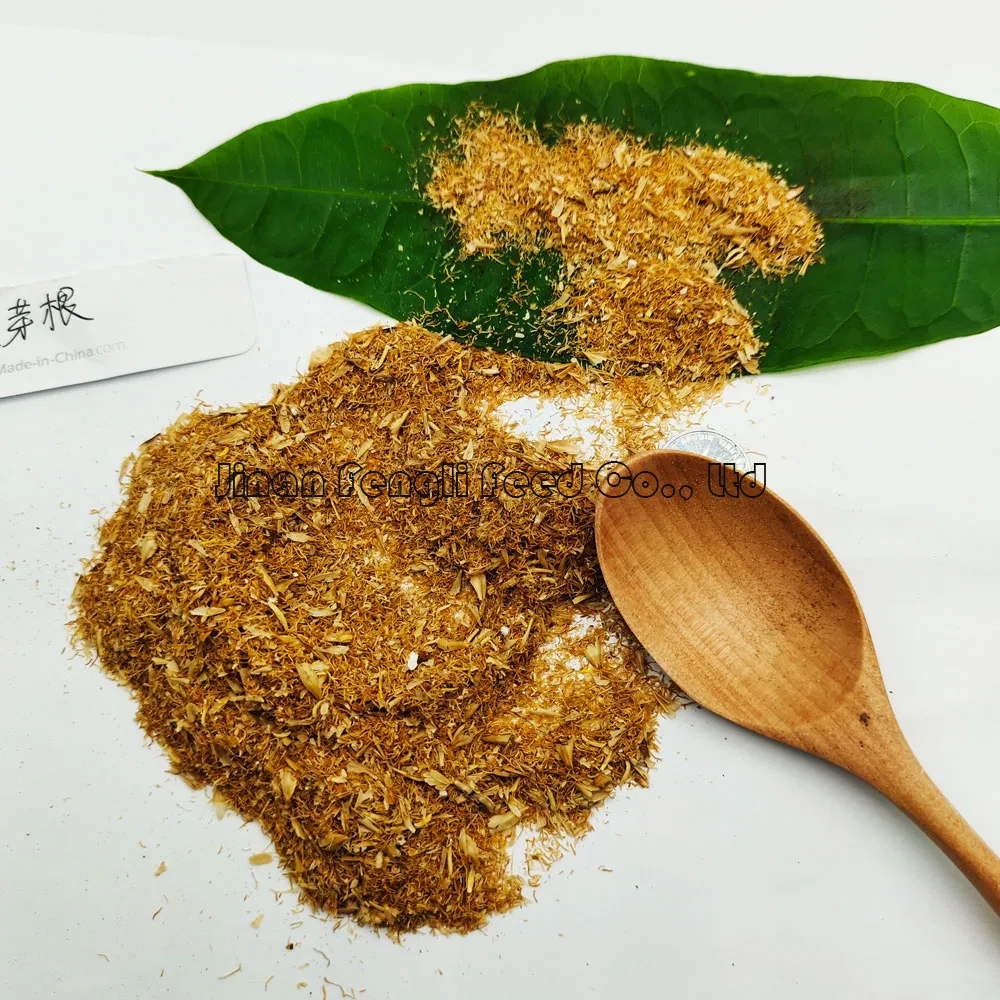 Fresh Rice Bran, Natural Rice Husk Powder, Farmhouse Produced Feed for Chickens, Ducks, Geese, Pigs, Fish, Animal Feed