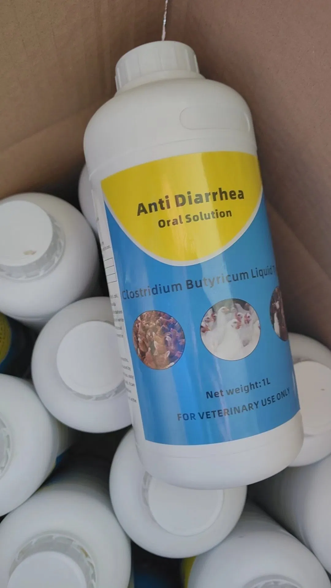 Poultry Intestinal Treat Anti Diarrhea Oral Solution, Probiotics Liquid for Animal Digestion