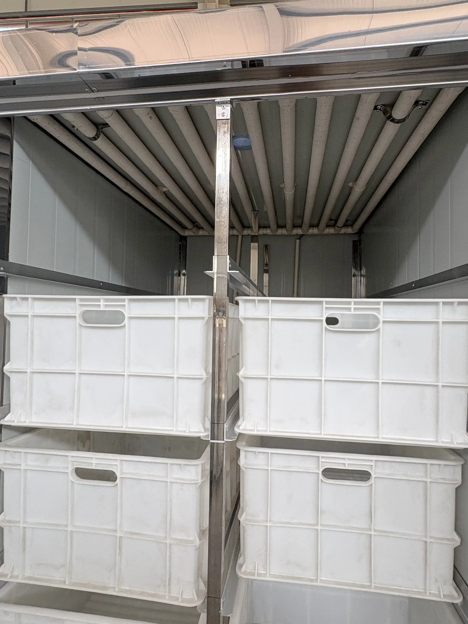 300kgdaily Outputcommercial Fully Automatic Bean Sprout Seeder Vegetable Growers