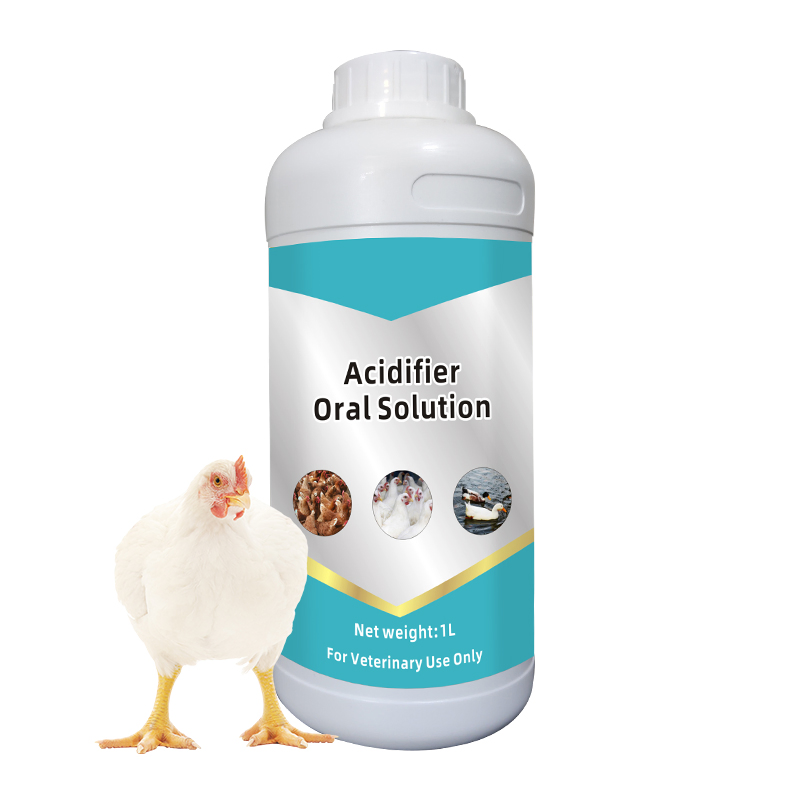 Probiotics Oral Solution Improve Intestinal Environment and Prevent Diseases